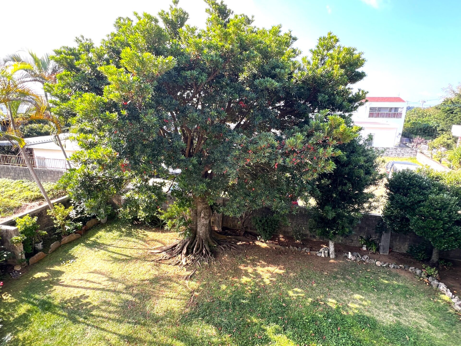 平良久貝　海を眺めるRCB造3LDK　建物52坪　土地188坪