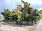 城辺友利　仲原鍾乳洞近く　179坪　宅地（未登記古家あり）