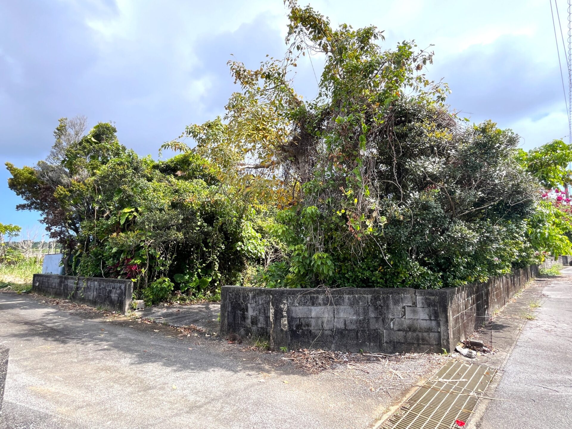 城辺友利　仲原鍾乳洞近く　179坪　宅地（未登記古家あり）