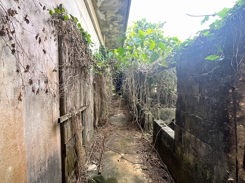 下地洲鎌　入江湾近く  124坪　畑（倉庫あり）