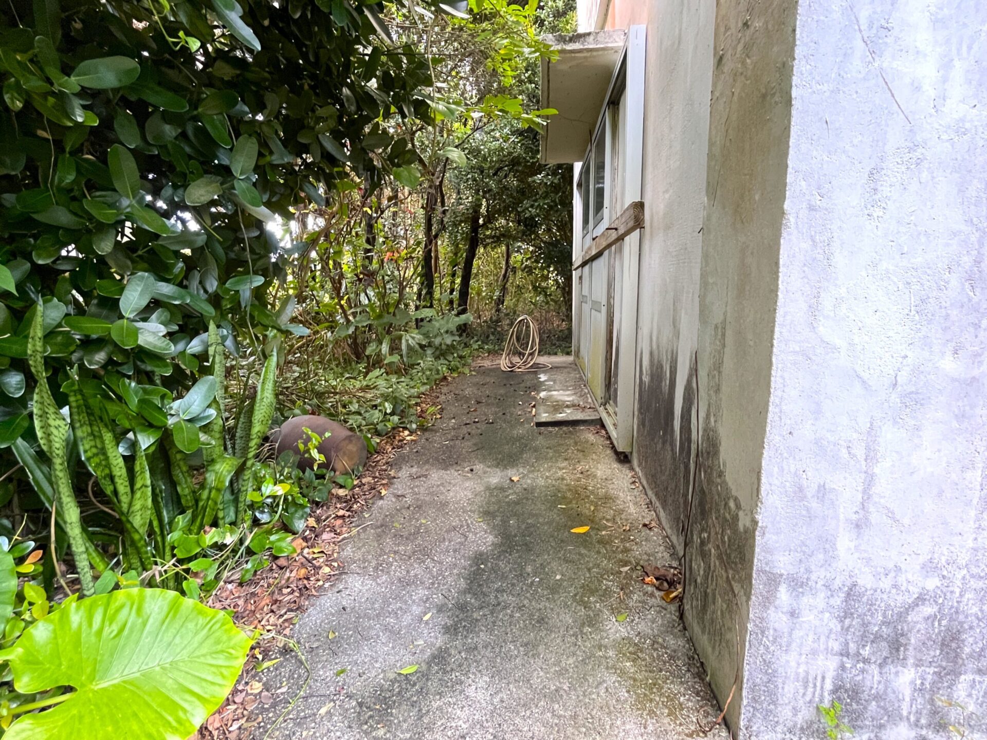 城辺友利　仲原鍾乳洞近く　179坪　宅地（未登記古家あり）