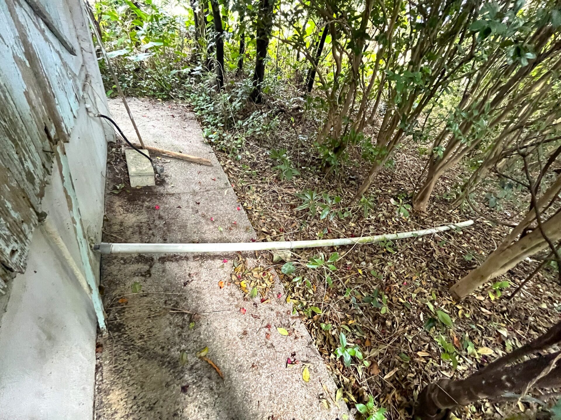 城辺友利　仲原鍾乳洞近く　179坪　宅地（未登記古家あり）