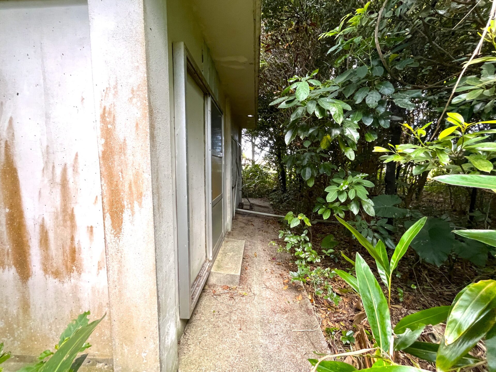 城辺友利　仲原鍾乳洞近く　179坪　宅地（未登記古家あり）