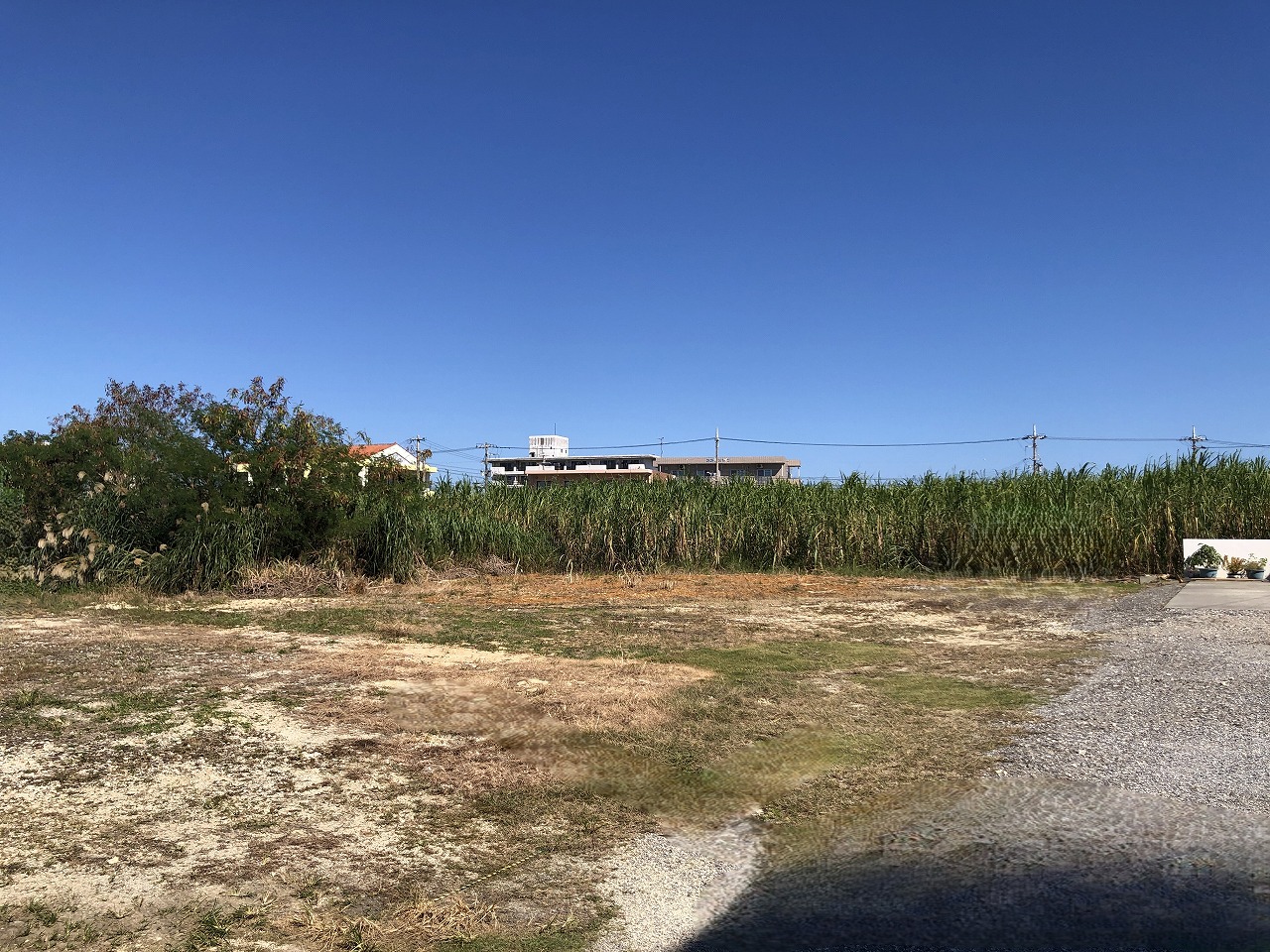 平良下里　うむやすみゃあす・ん診療所近く　113坪　雑種地