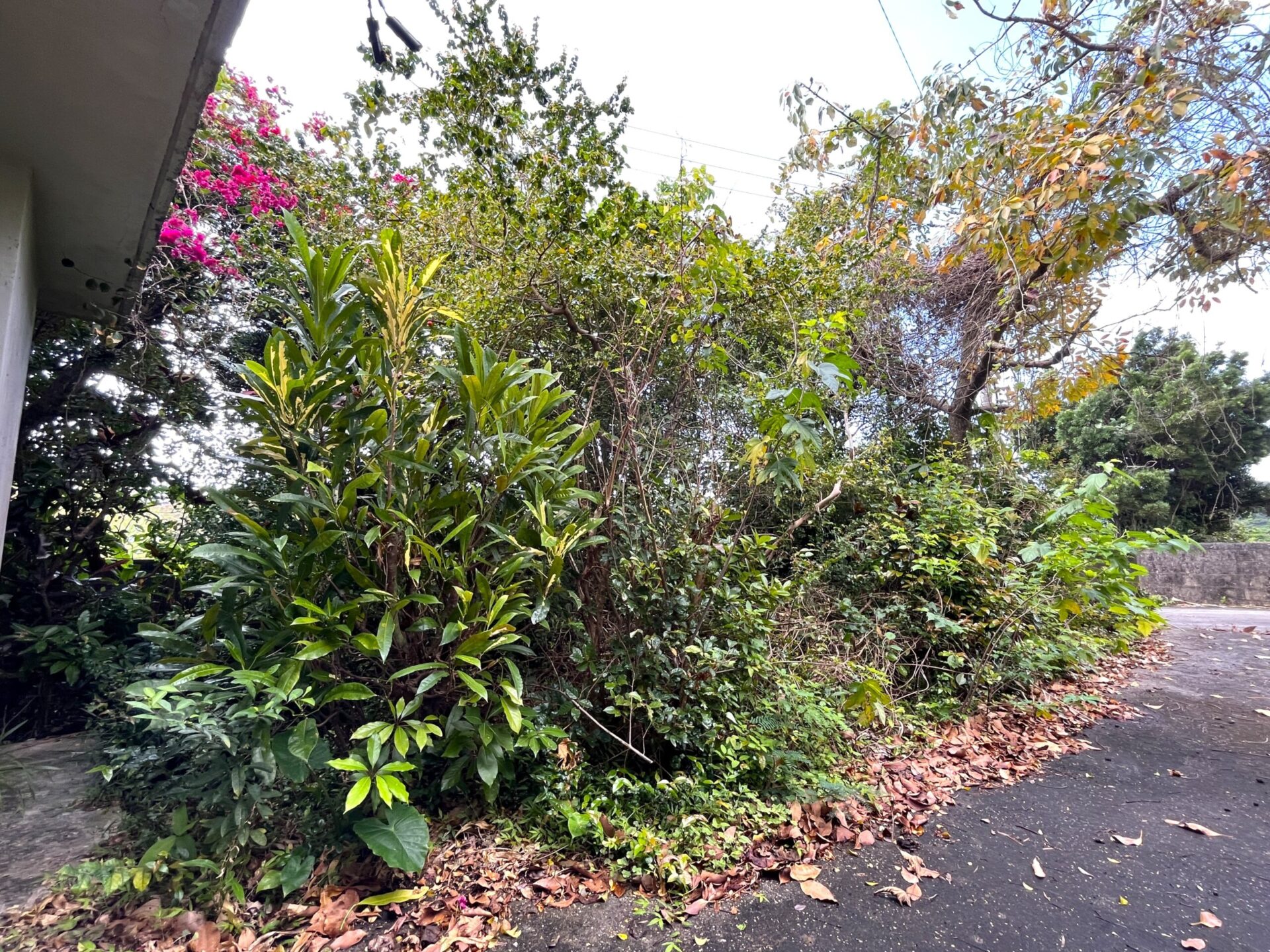 城辺友利　仲原鍾乳洞近く　179坪　宅地（未登記古家あり）