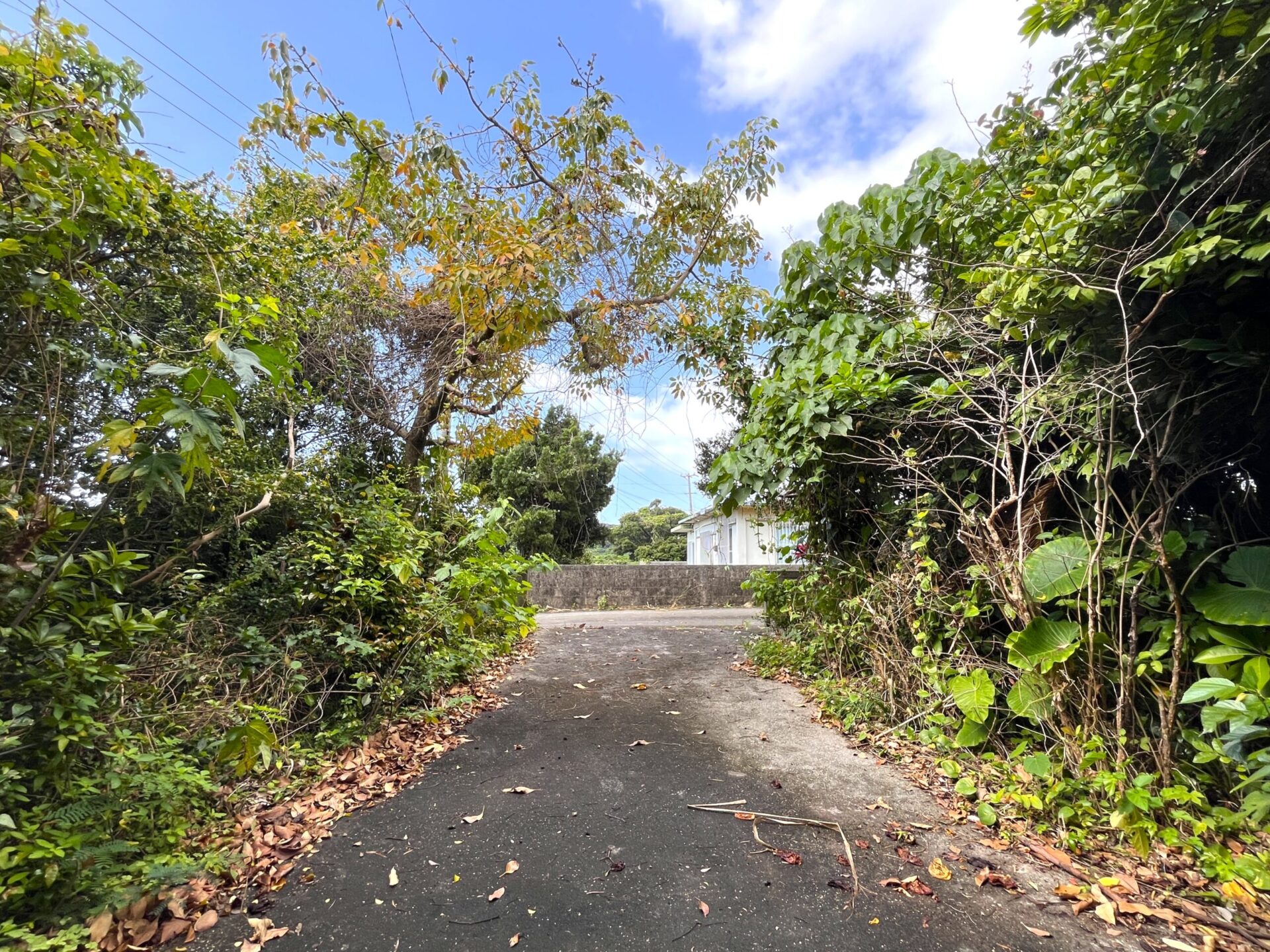 城辺友利　仲原鍾乳洞近く　179坪　宅地（未登記古家あり）