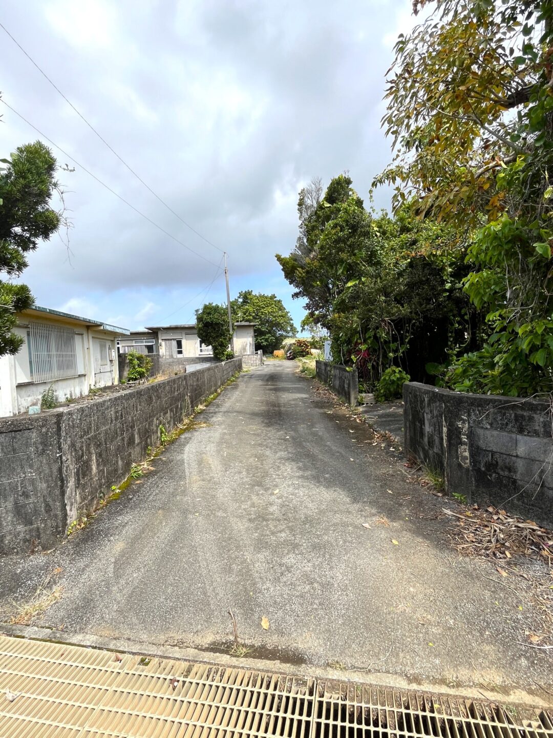 城辺友利　仲原鍾乳洞近く　179坪　宅地（未登記古家あり）