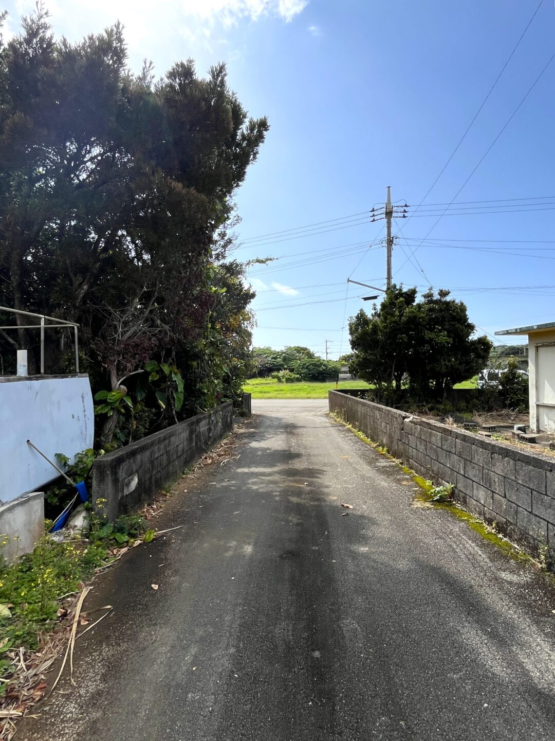 城辺友利　仲原鍾乳洞近く　179坪　宅地（未登記古家あり）