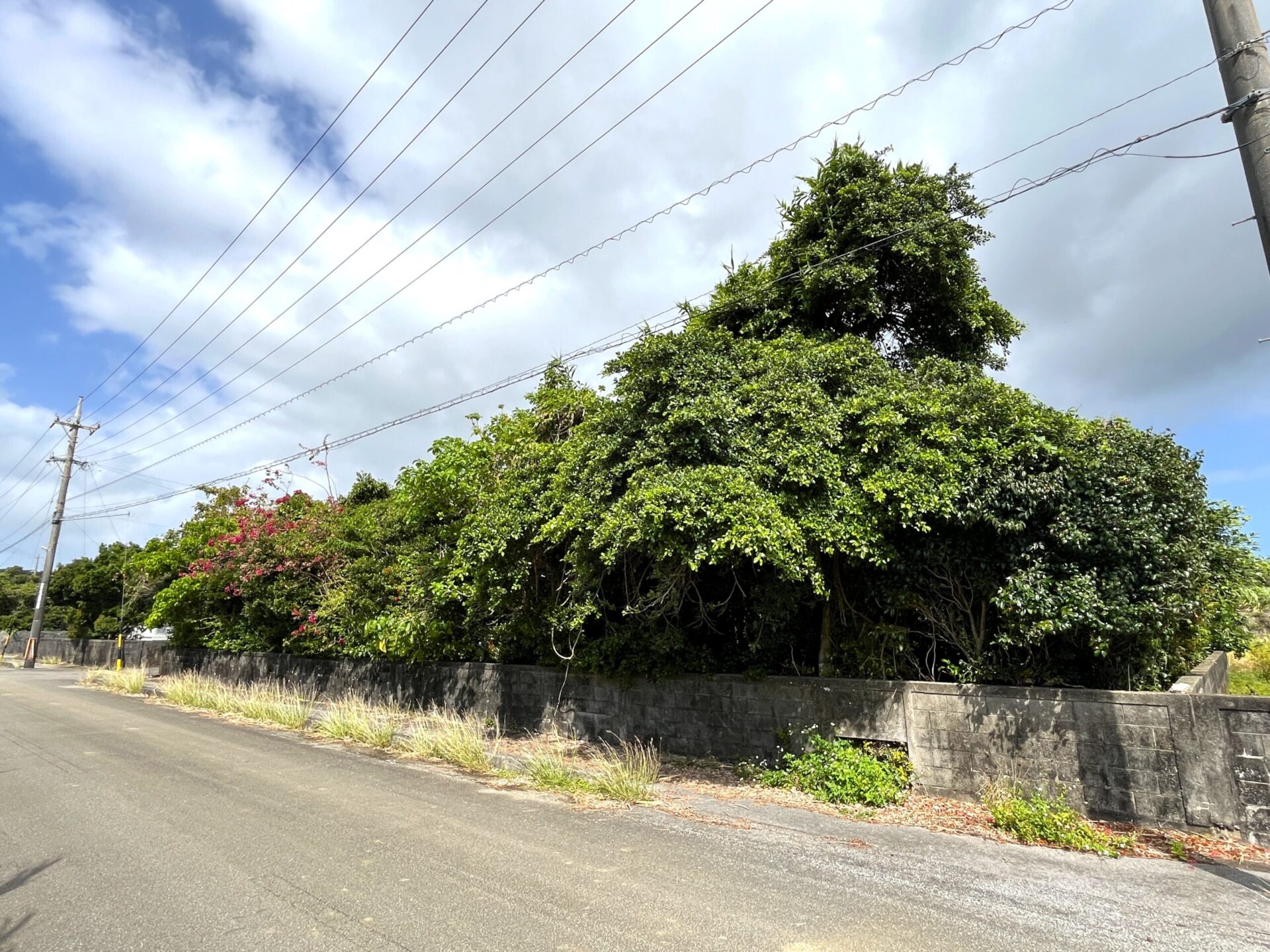 城辺友利　仲原鍾乳洞近く　179坪　宅地（未登記古家あり）