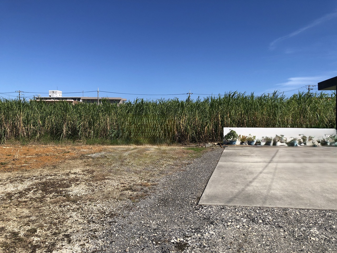 平良下里　うむやすみゃあす・ん診療所近く　113坪　雑種地