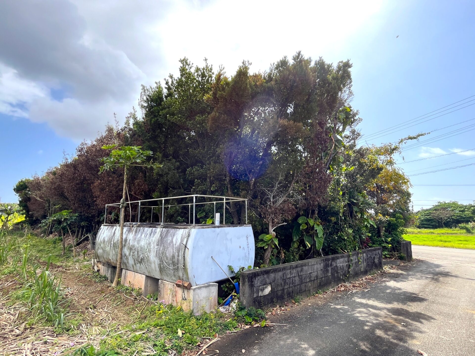 城辺友利　仲原鍾乳洞近く　179坪　宅地（未登記古家あり）