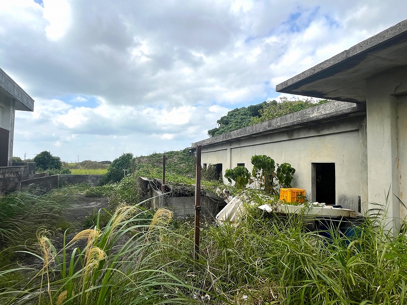 下地洲鎌　入江湾近く  124坪　畑（倉庫あり）