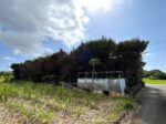 城辺友利　仲原鍾乳洞近く　179坪　宅地（未登記古家あり）