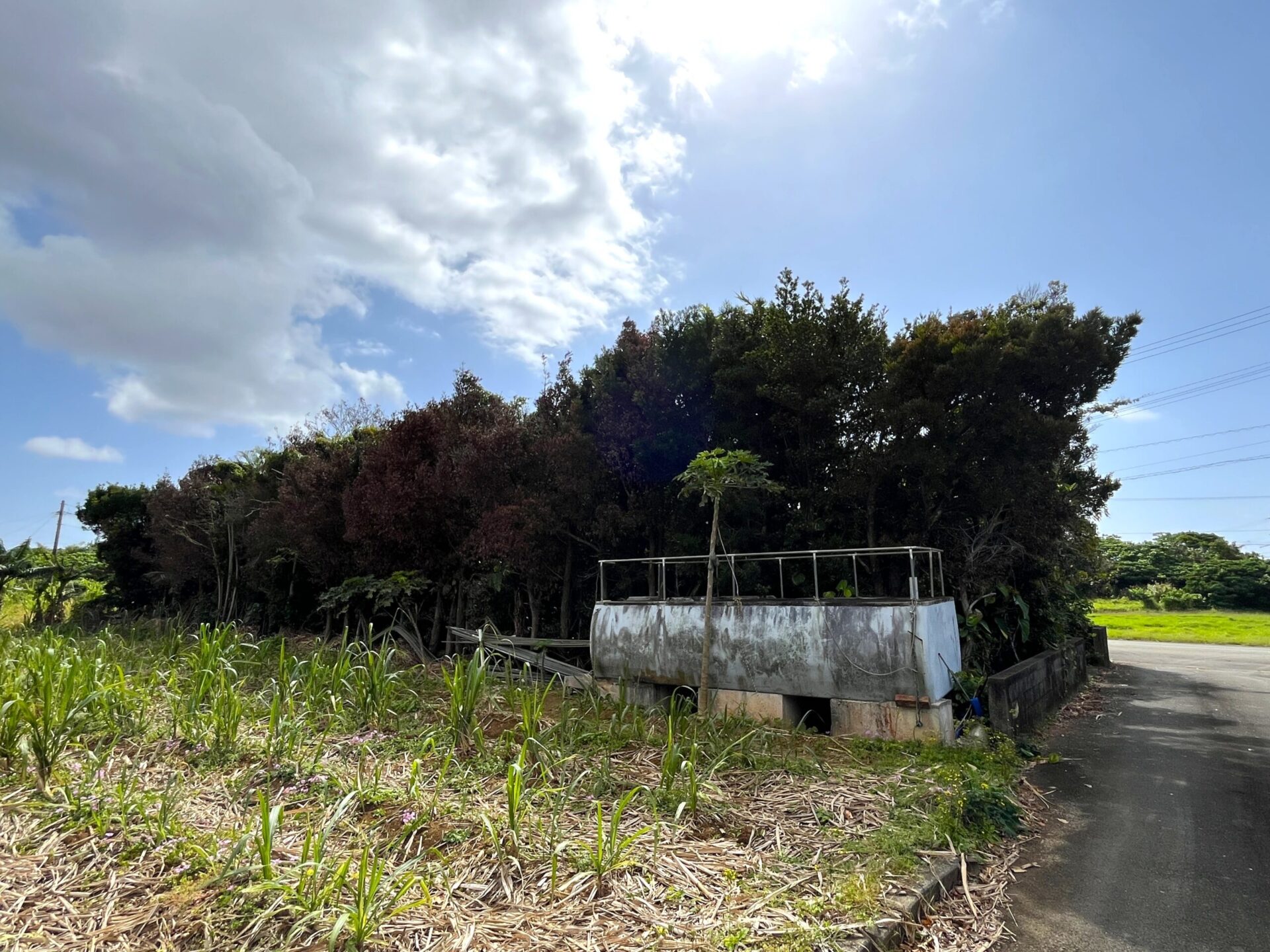 城辺友利　仲原鍾乳洞近く　179坪　宅地（未登記古家あり）