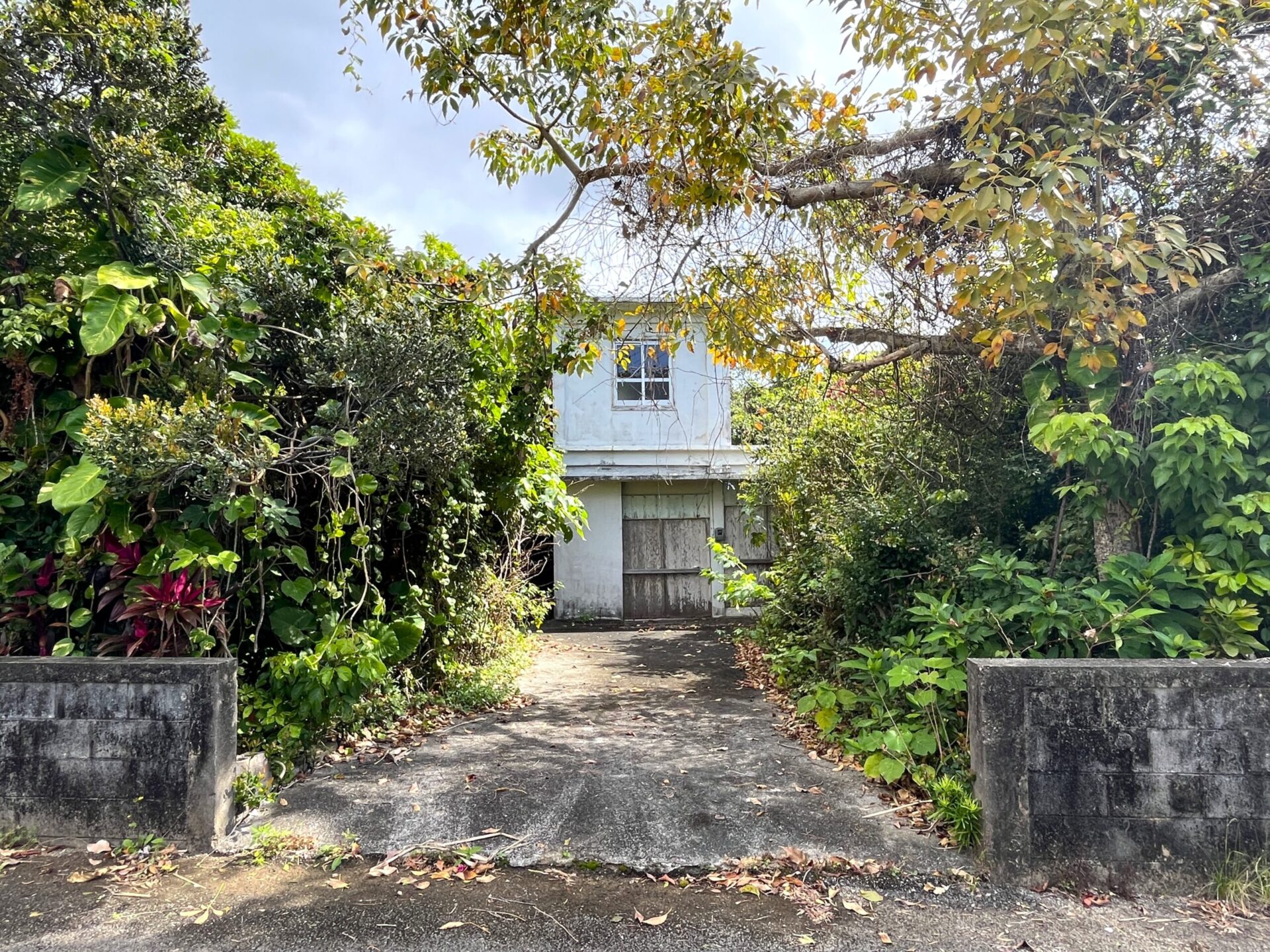 城辺友利　仲原鍾乳洞近く　179坪　宅地（未登記古家あり）