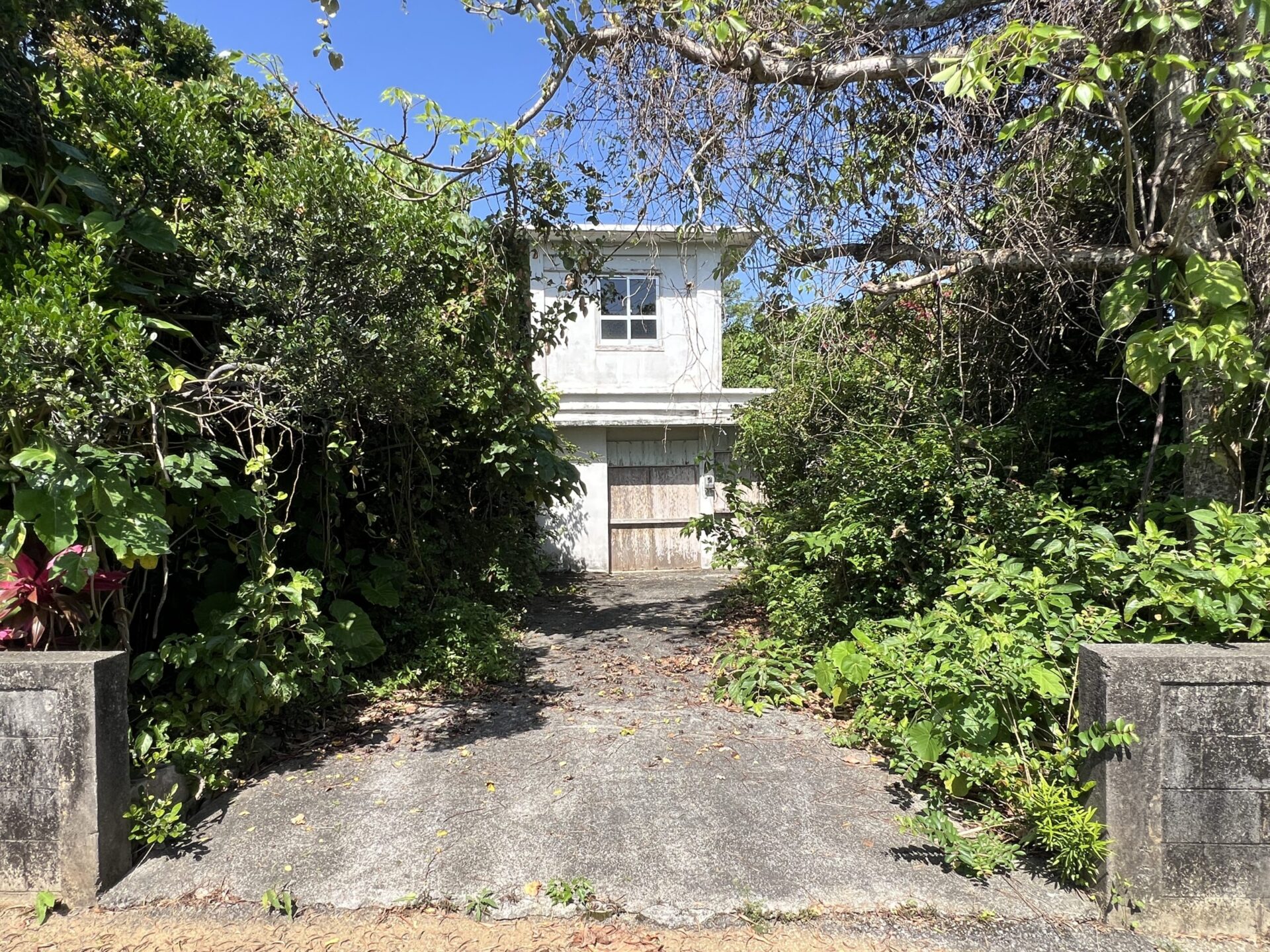 城辺友利 　仲原鍾乳洞近く　179坪　 宅地（未登記古家あり）