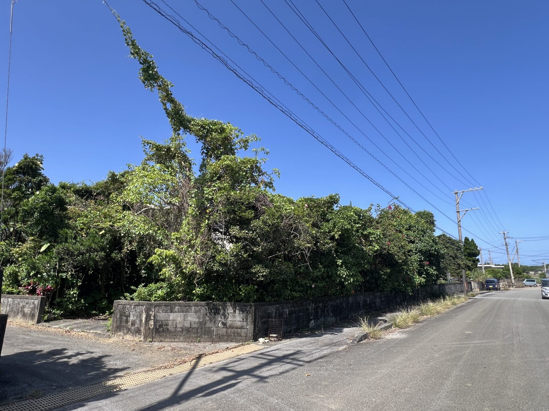 城辺友利 　仲原鍾乳洞近く　179坪　 宅地（未登記古家あり）
