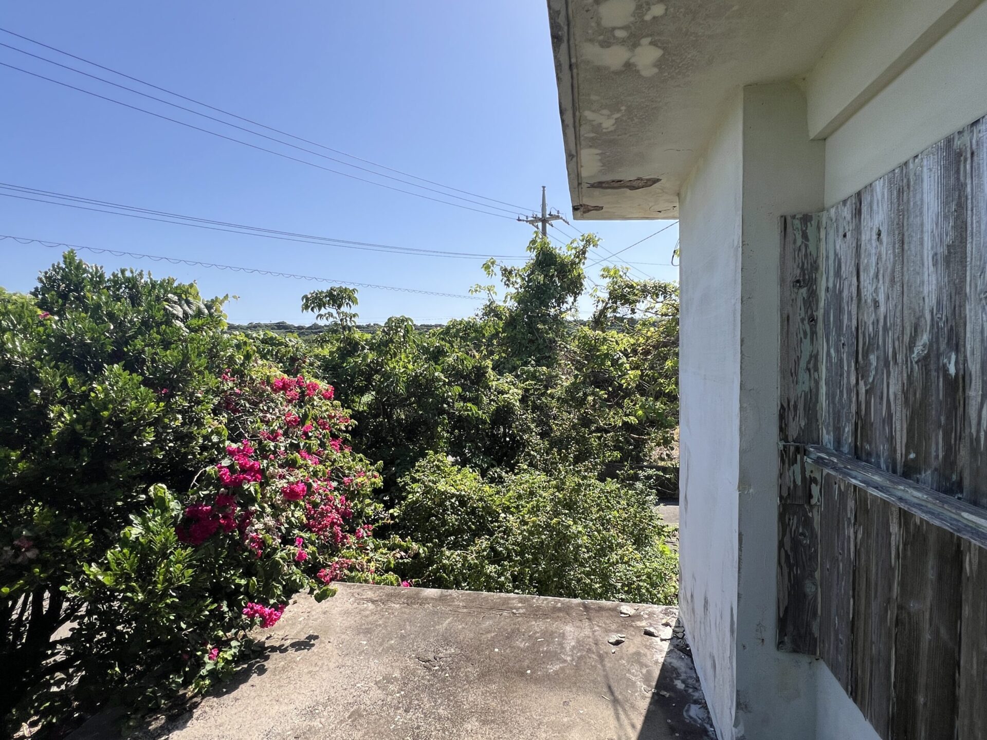 城辺友利 　仲原鍾乳洞近く　179坪　 宅地（未登記古家あり）