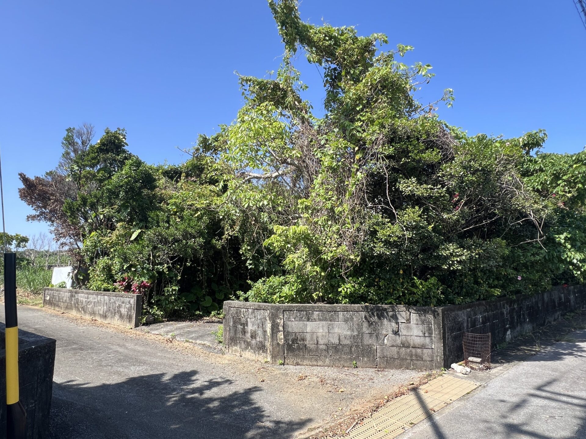 城辺友利 　仲原鍾乳洞近く　179坪　 宅地（未登記古家あり）