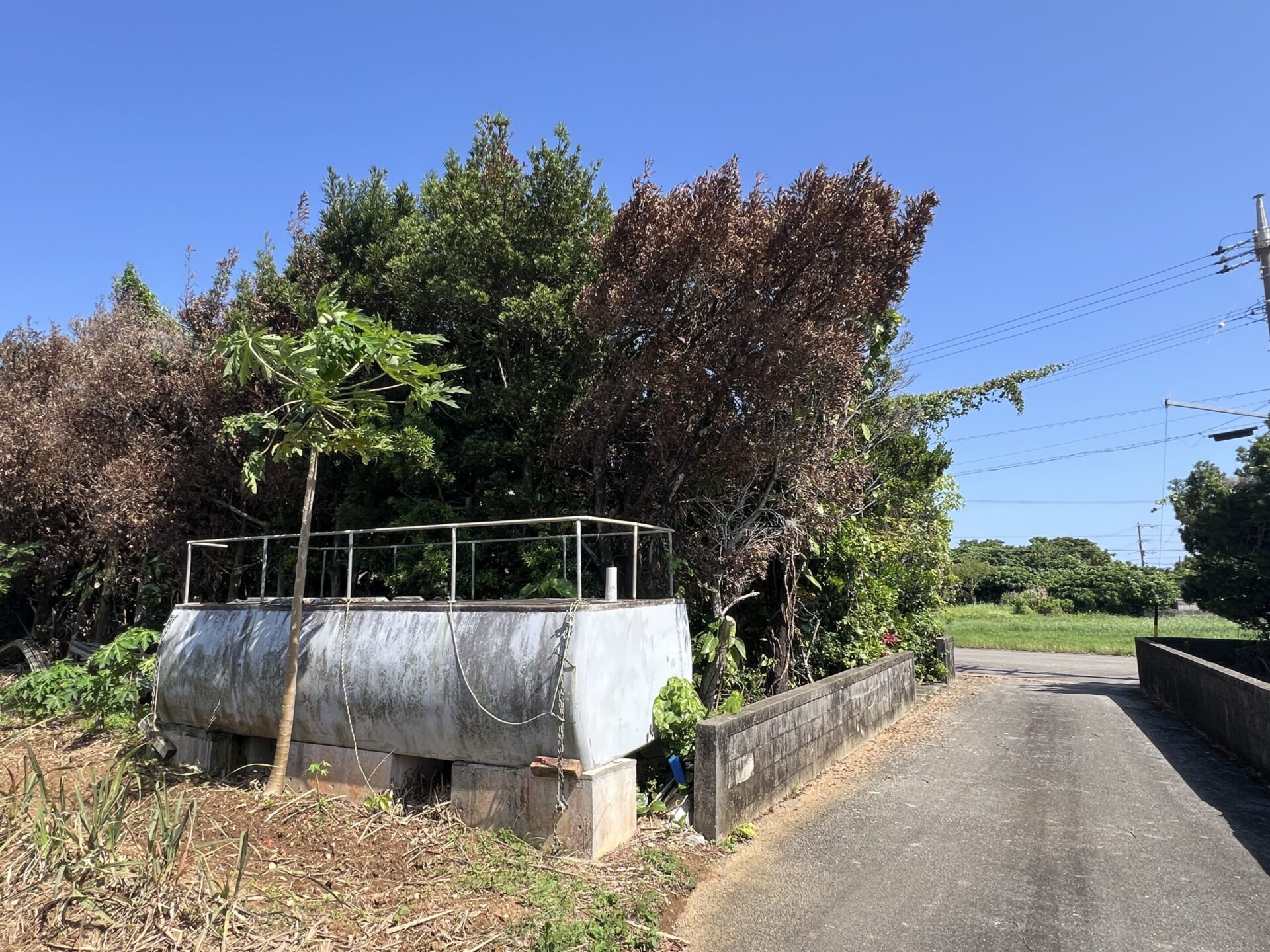 城辺友利 　仲原鍾乳洞近く　179坪　 宅地（未登記古家あり）