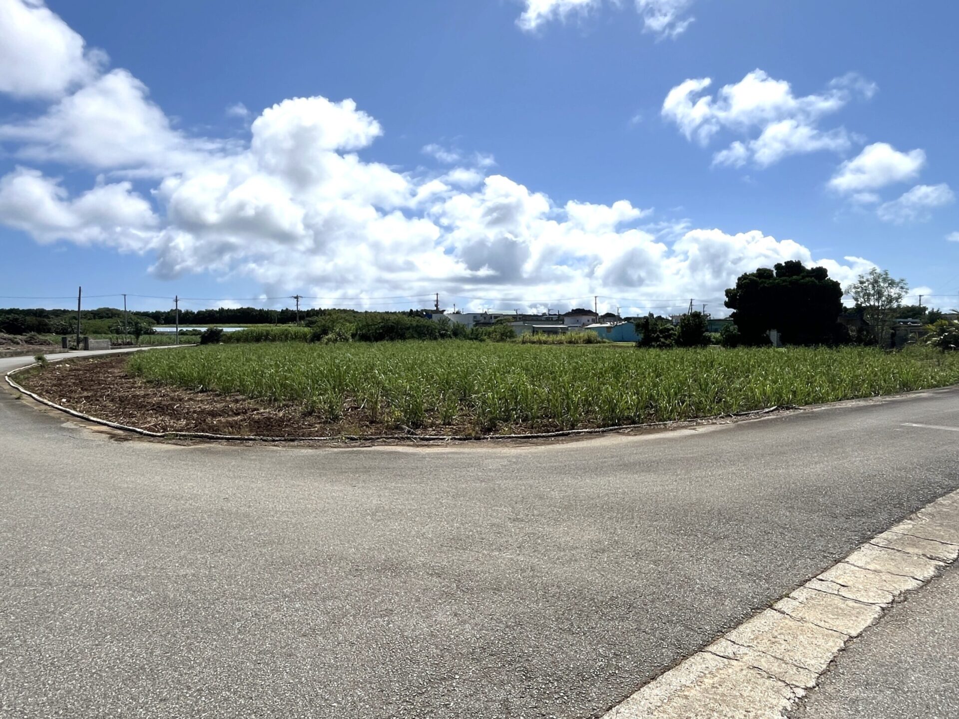 伊良部佐和田　佐和田の浜近く　1245坪　畑