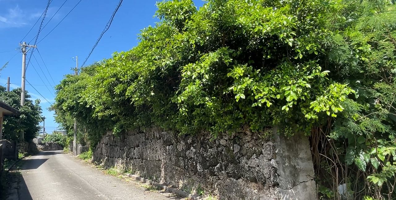 伊良部　長浜多目的施設バス停伊良部前　145坪　畑