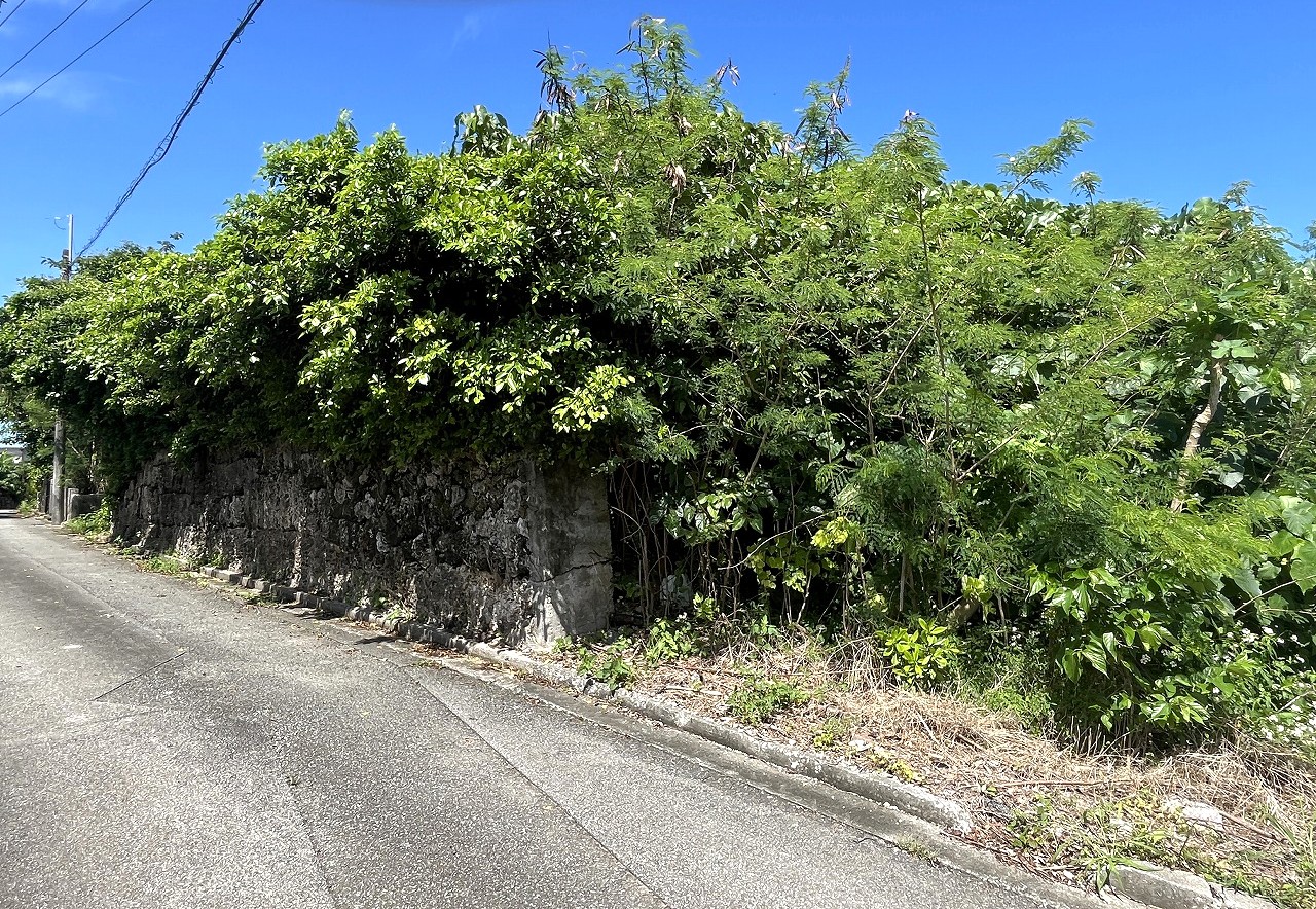 伊良部　長浜多目的施設バス停伊良部前　145坪　畑