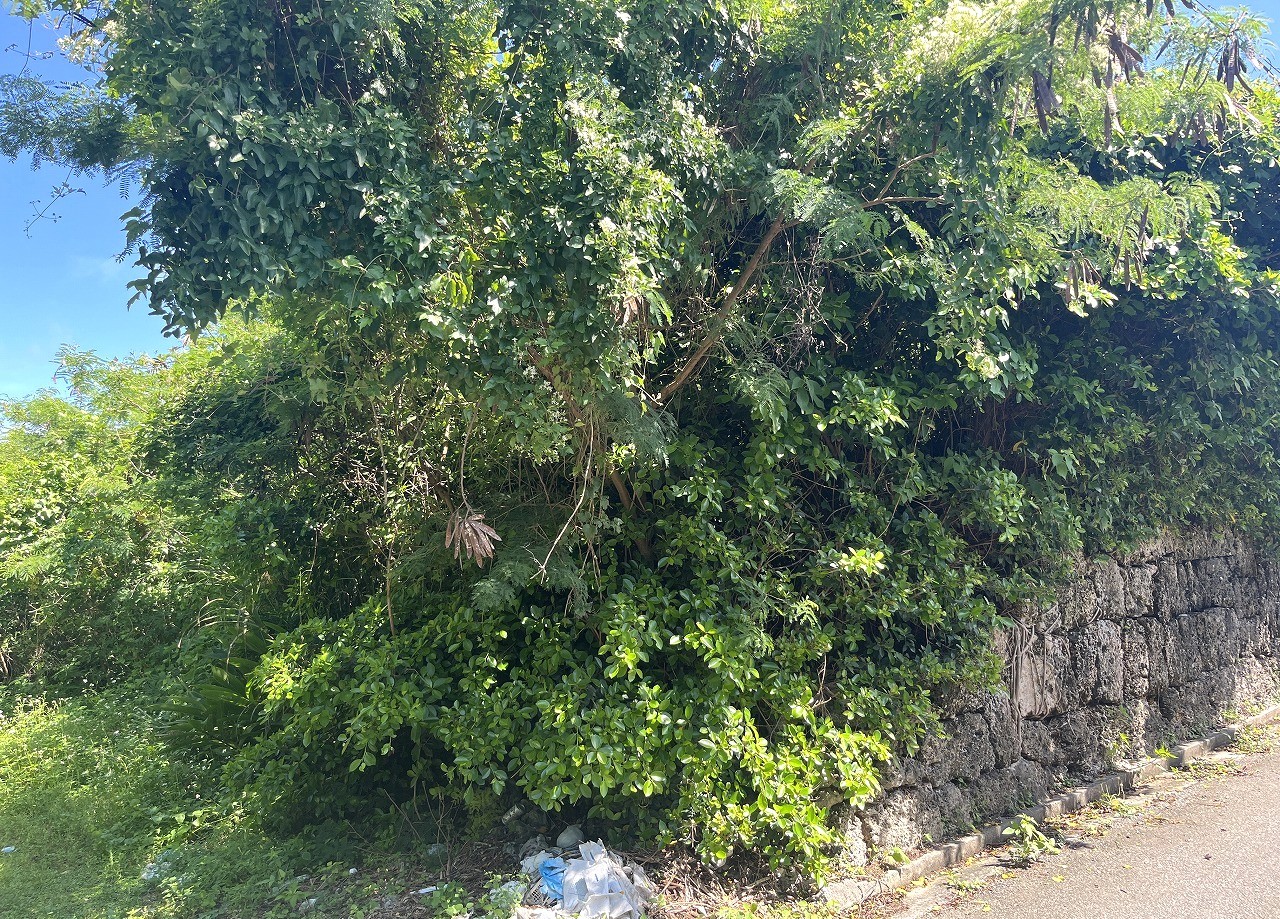 伊良部　長浜多目的施設バス停伊良部前　145坪　畑