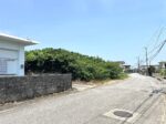 伊良部　長浜多目的施設バス停伊良部前　145坪　畑
