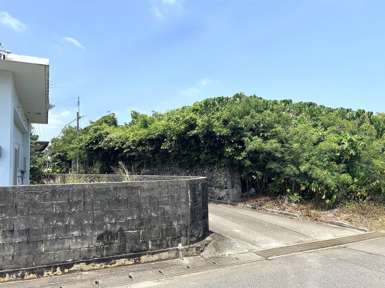 伊良部　長浜多目的施設バス停伊良部前　145坪　畑