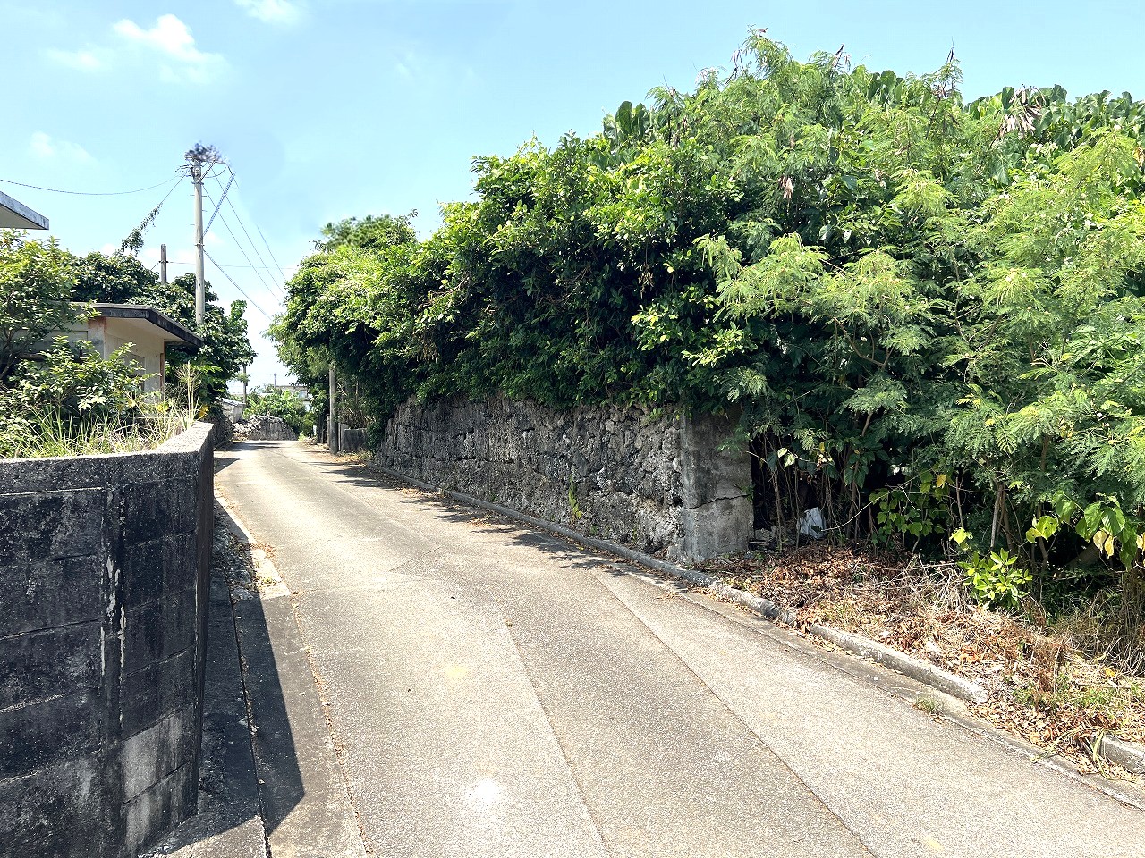 伊良部　長浜多目的施設バス停伊良部前　145坪　畑