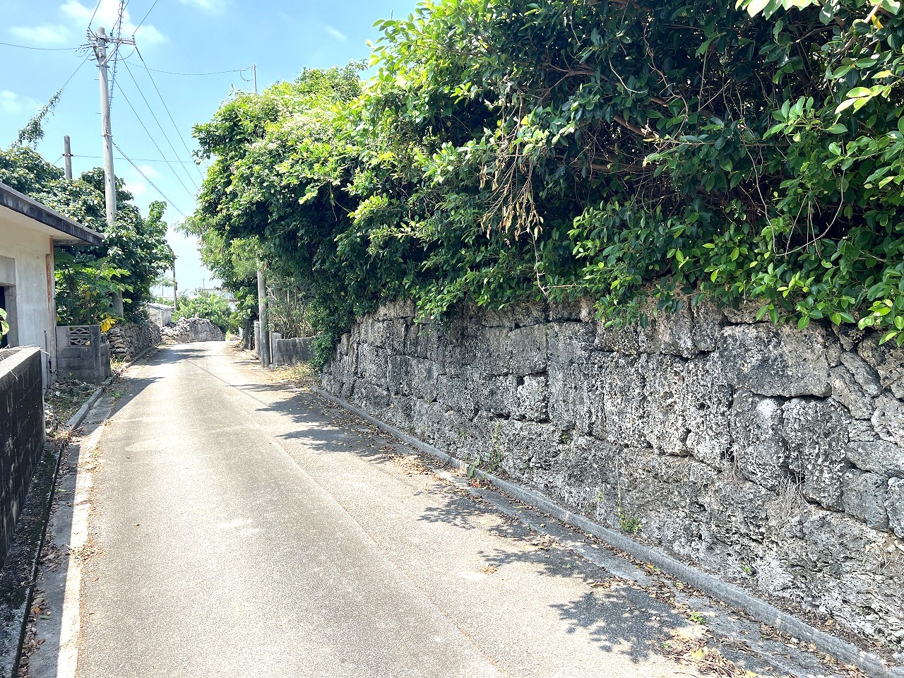 伊良部　長浜多目的施設バス停伊良部前　145坪　畑