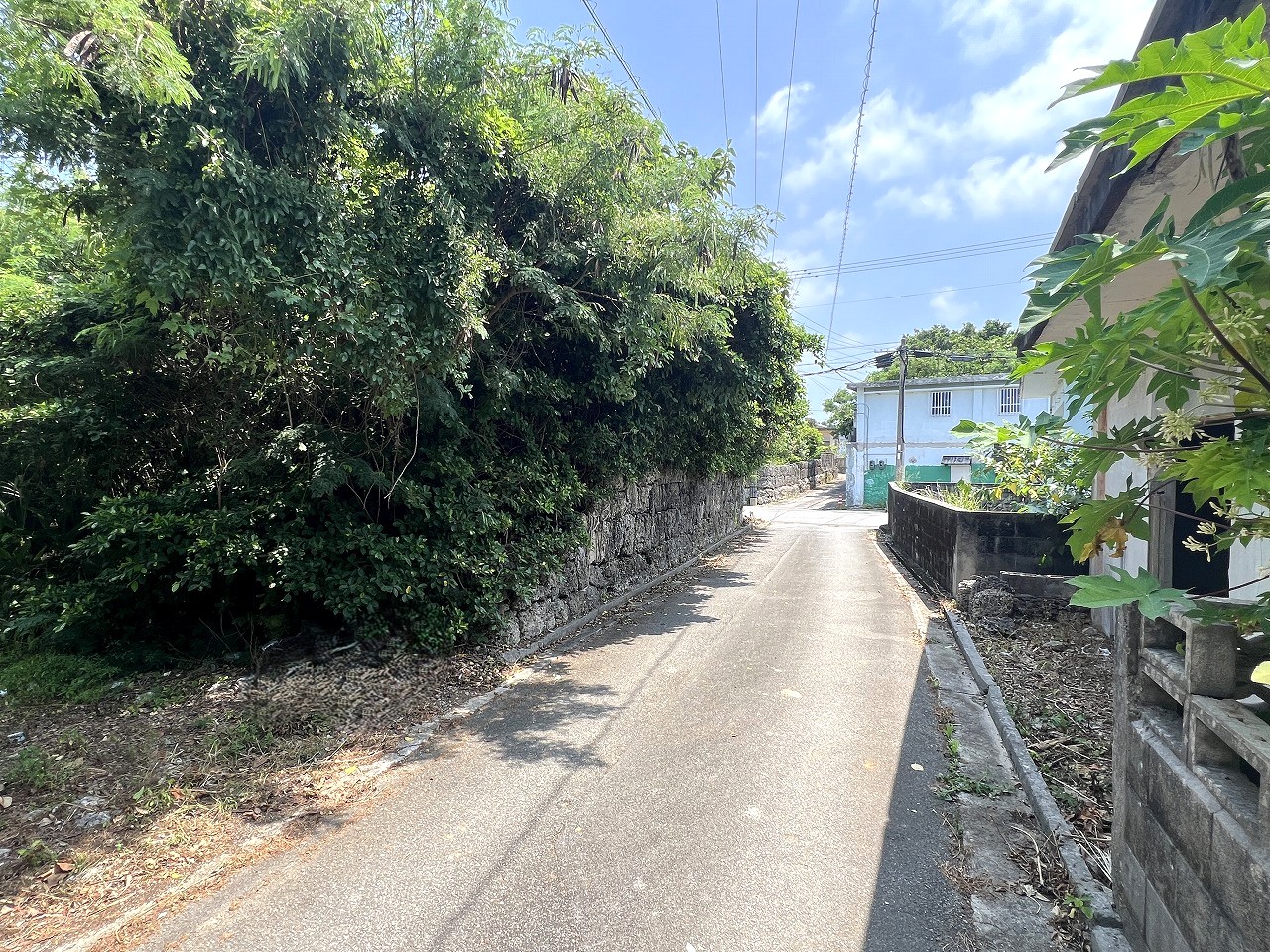 伊良部　長浜多目的施設バス停伊良部前　145坪　畑