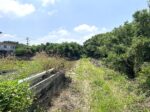 伊良部　長浜多目的施設バス停伊良部前　145坪　畑