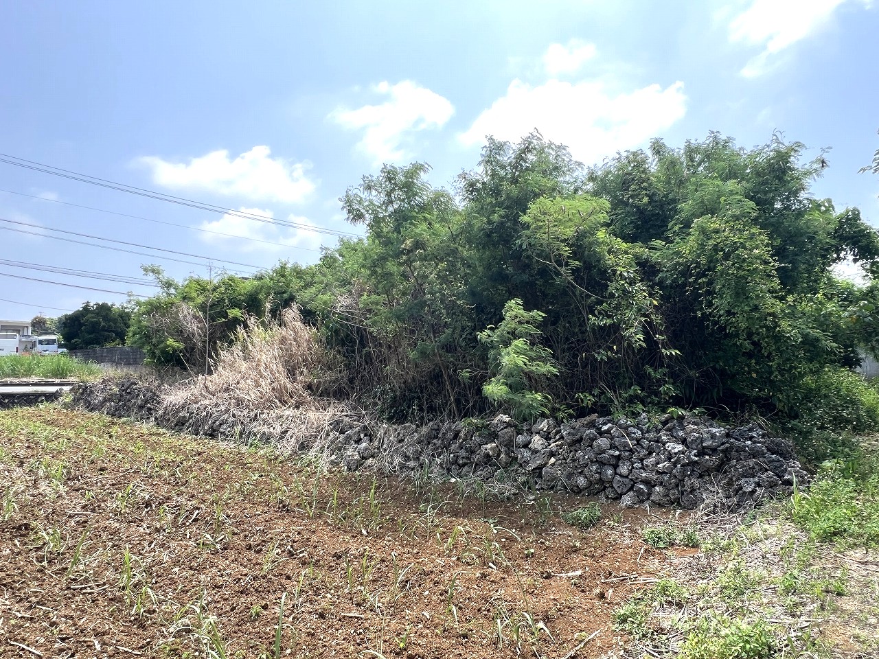 伊良部　長浜多目的施設バス停伊良部前　145坪　畑