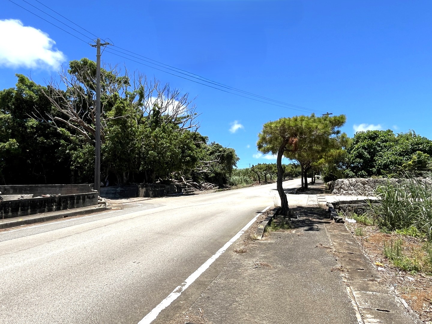 伊良部　渡口の浜近く　356坪　宅地
