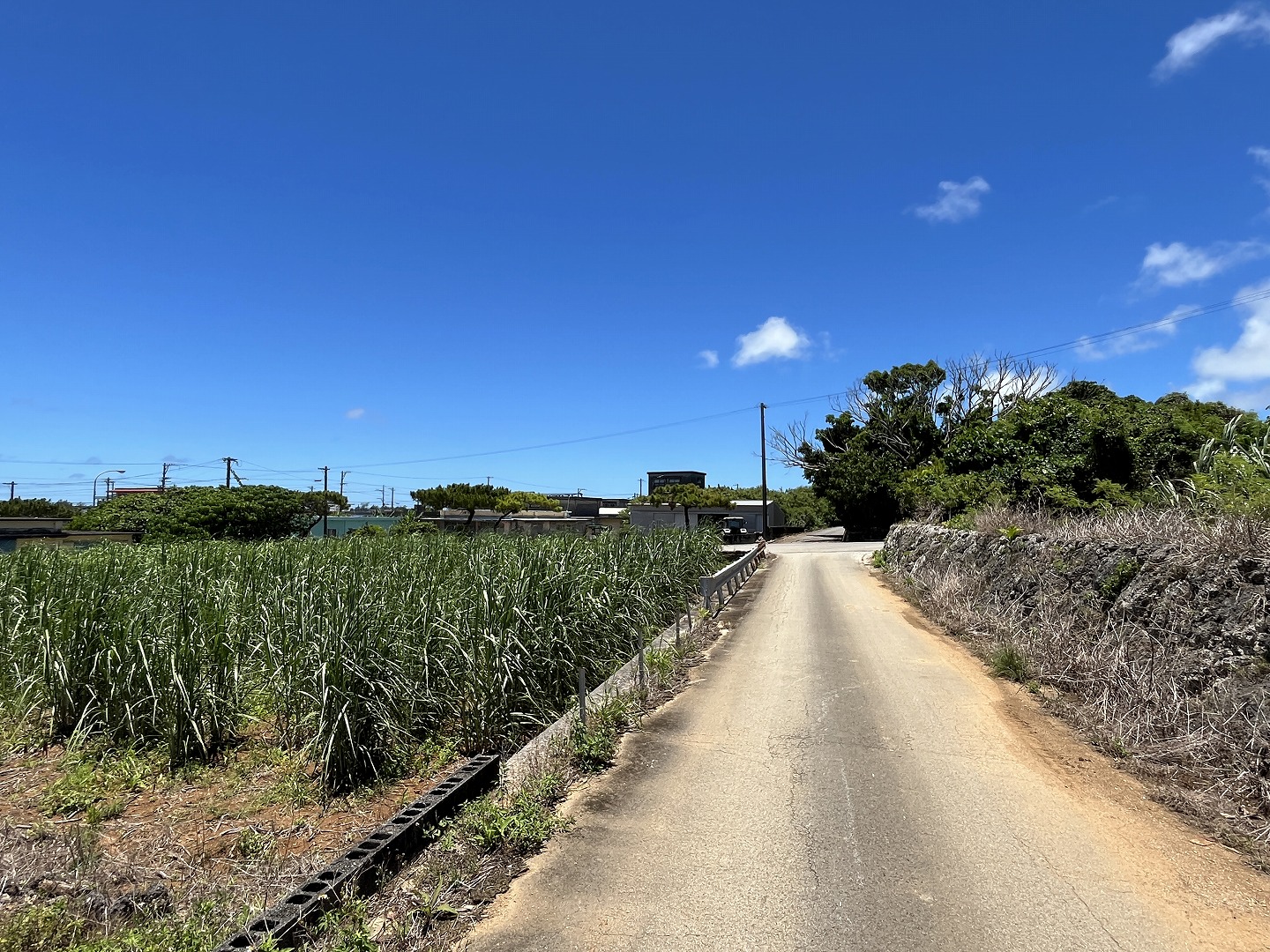 伊良部　渡口の浜近く　356坪　宅地