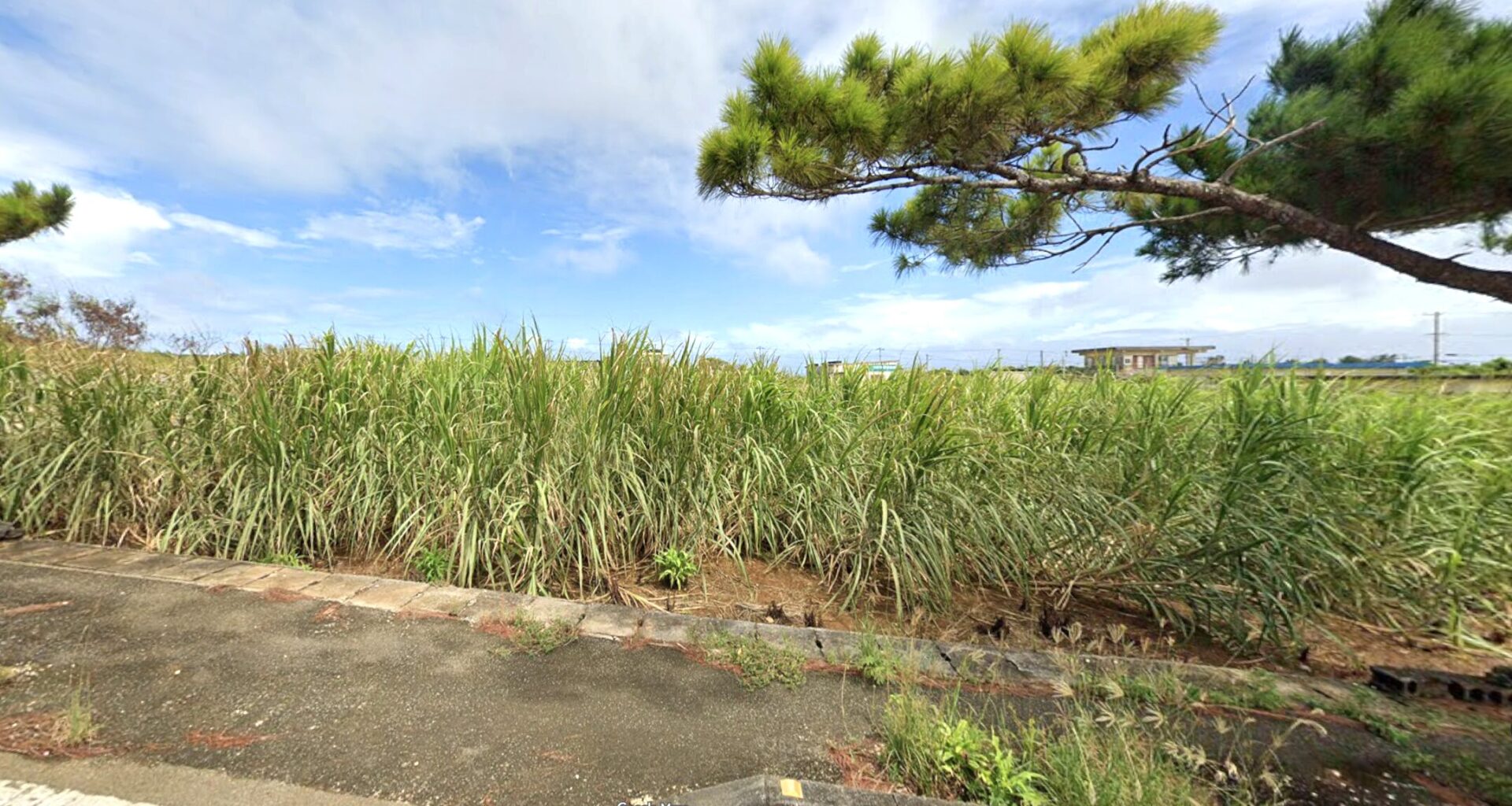 伊良部　渡口の浜近く　356坪　宅地