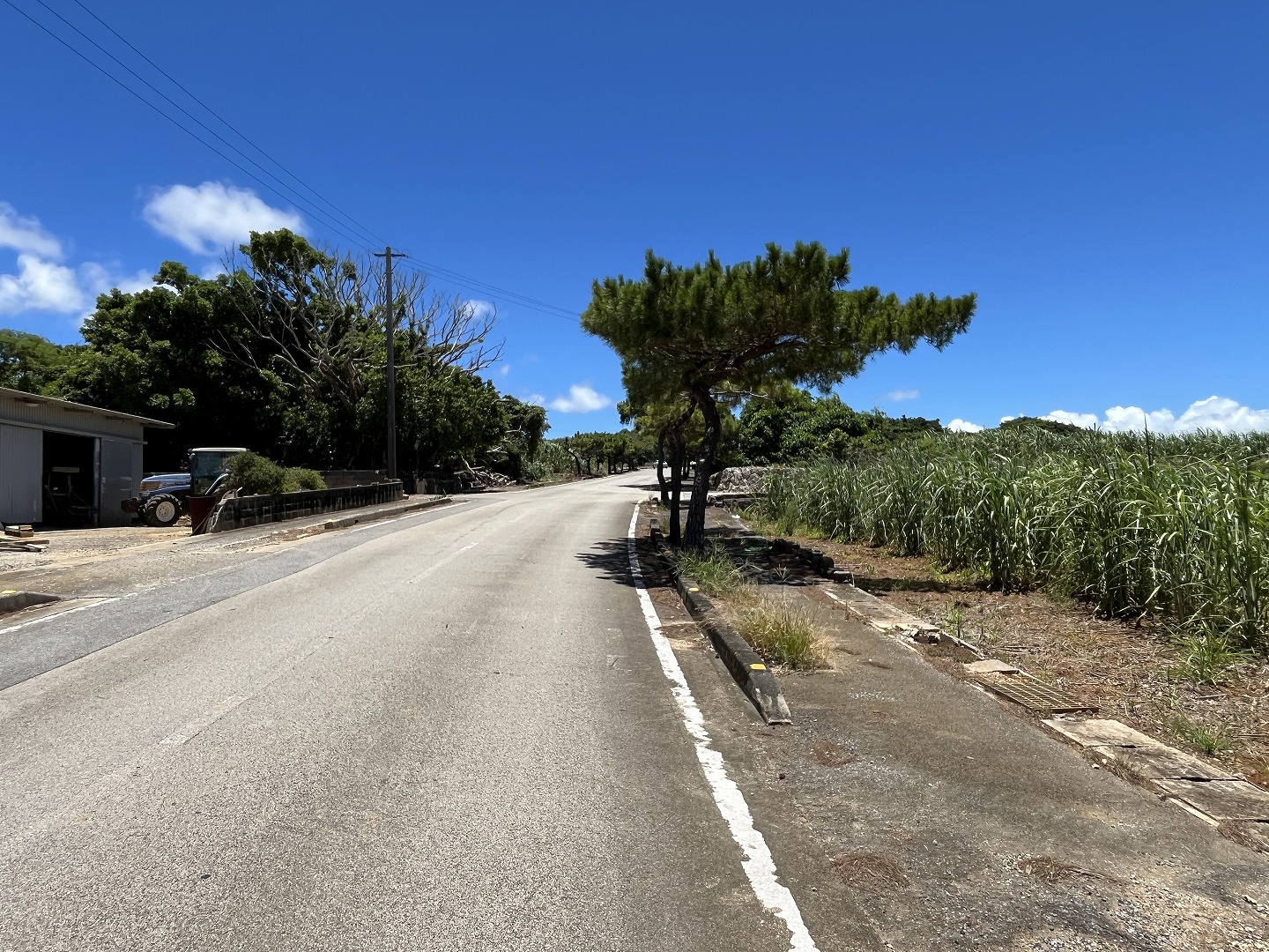 伊良部　渡口の浜近く　356坪　宅地