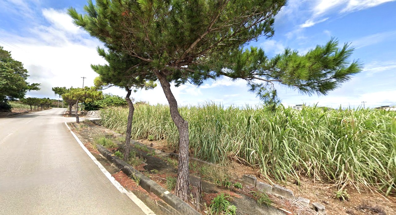 伊良部　渡口の浜近く　356坪　宅地