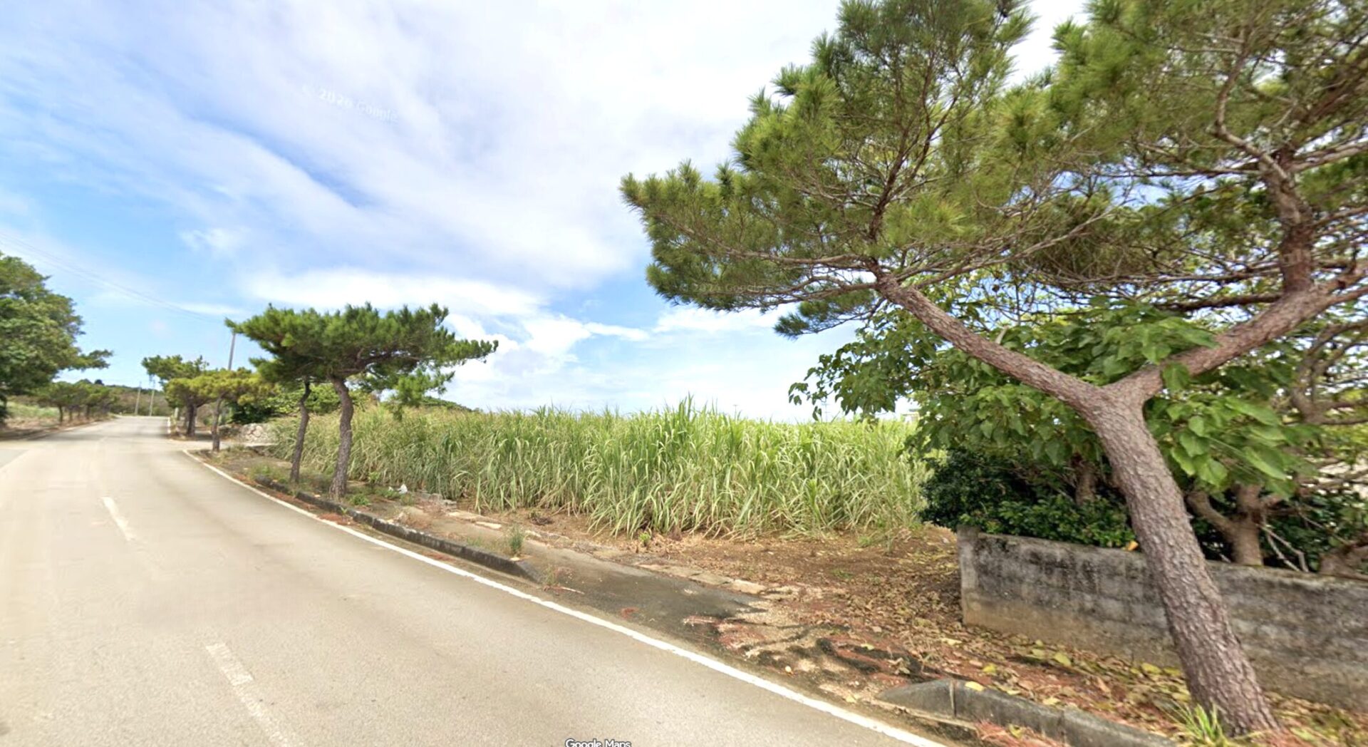 伊良部　渡口の浜近く　356坪　宅地
