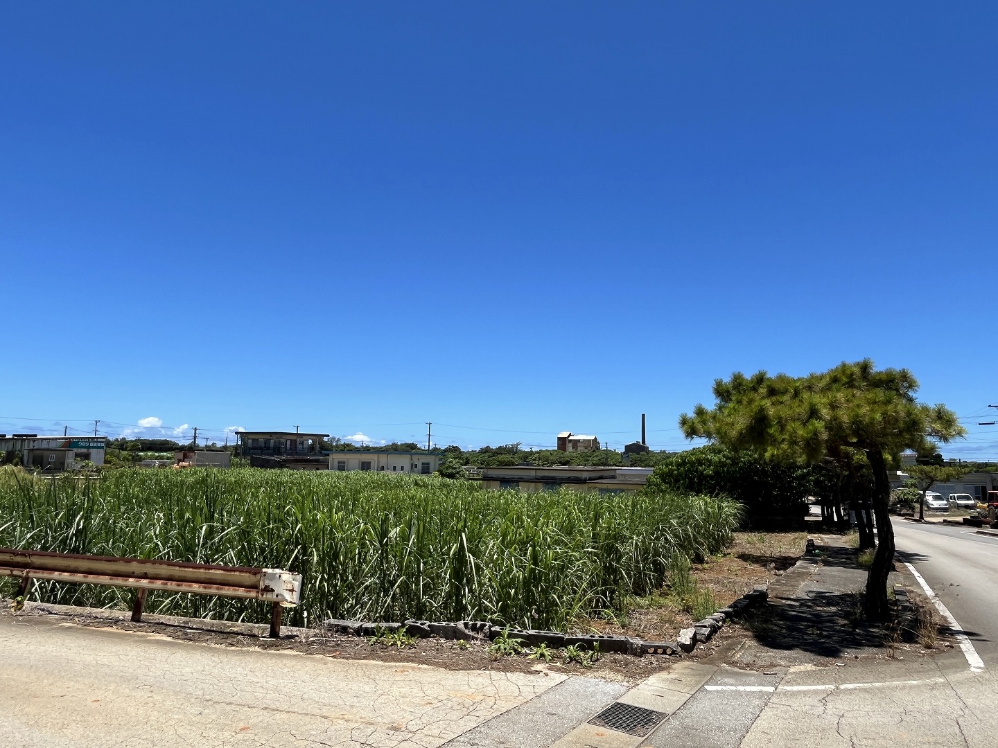 伊良部　渡口の浜近く　356坪　宅地