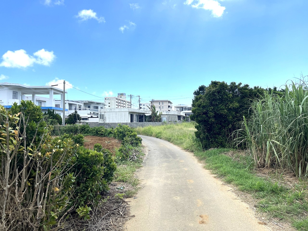 平良下里　古謝そば屋近く　約477坪　畑