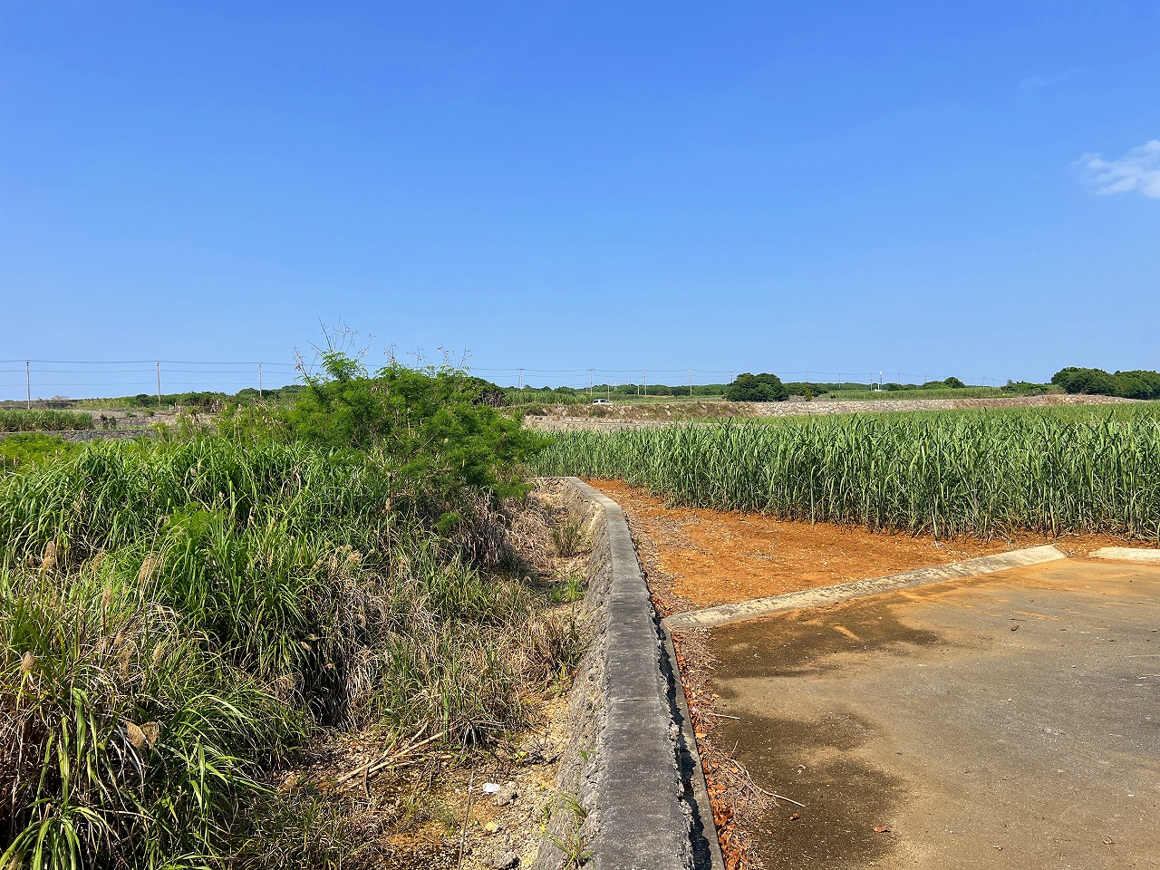 伊良部ホテルが並ぶ通り沿い　290坪　原野
