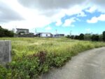 平良下里　古謝そば屋近く　約477坪　畑