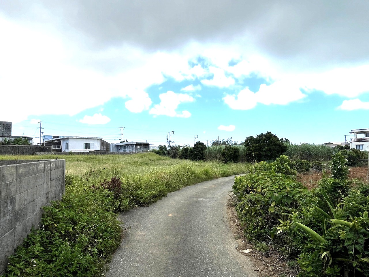 平良下里　古謝そば屋近く　約477坪　畑