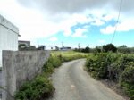平良下里 古謝そば屋近く 約477坪 畑