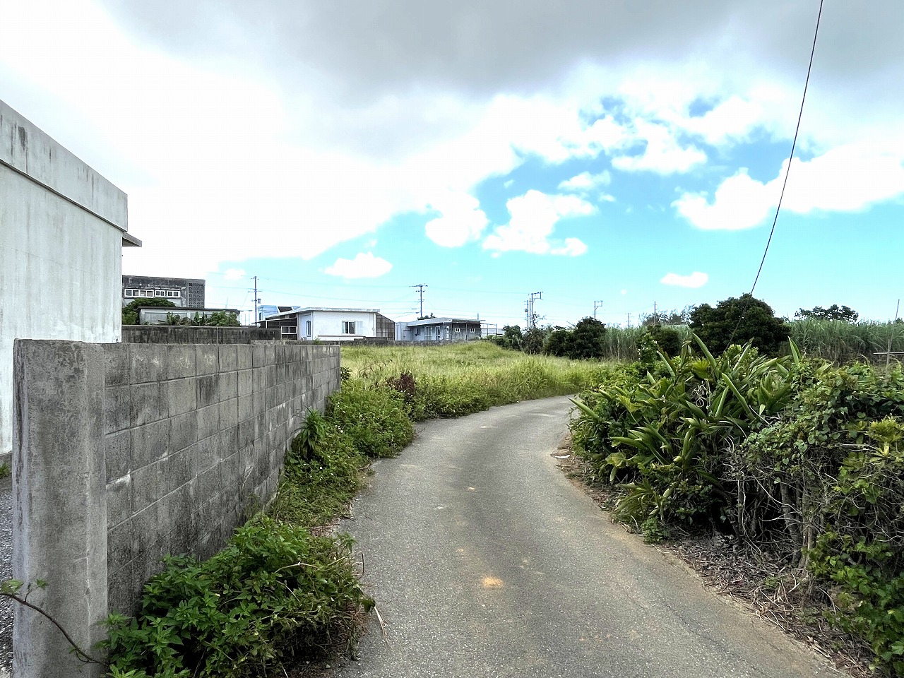 平良下里　古謝そば屋近く　約477坪　畑