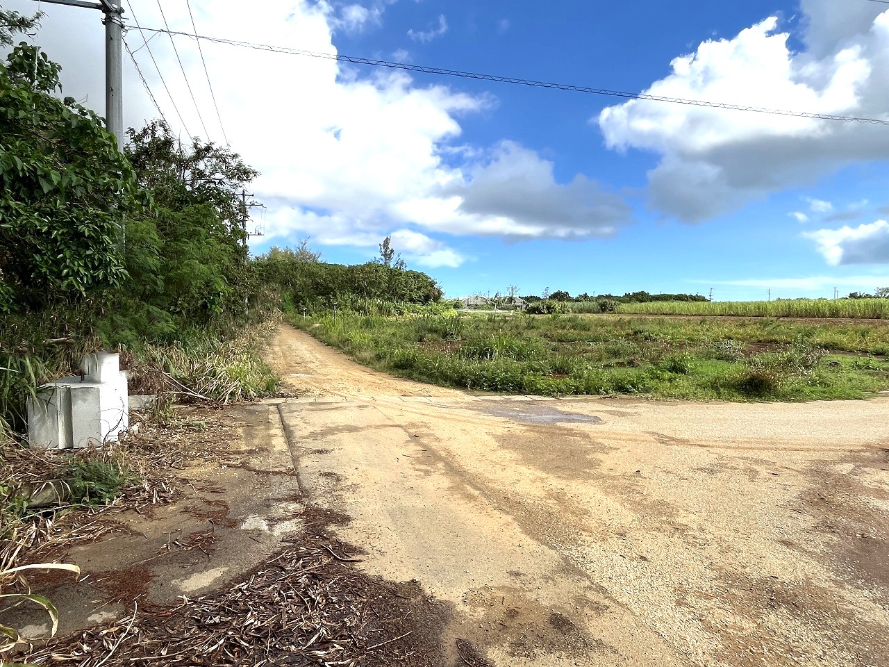 平良下里腰原　ゆとりある土地　約801坪　原野