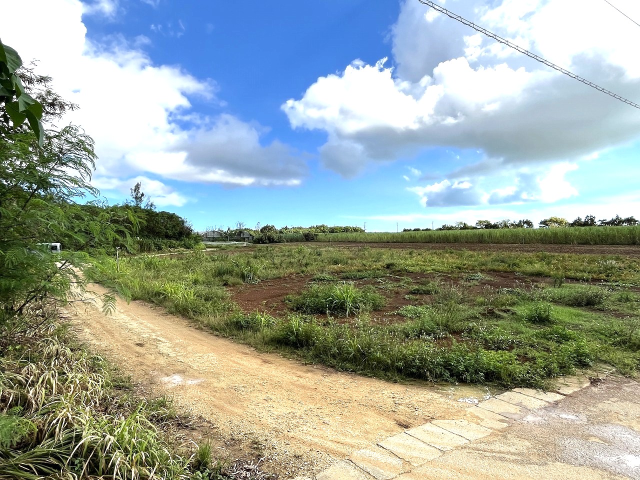 平良下里腰原　ゆとりある土地　約801坪　原野